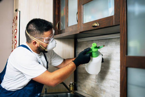 Best Local Pest Control Services  in San Antonio, TX