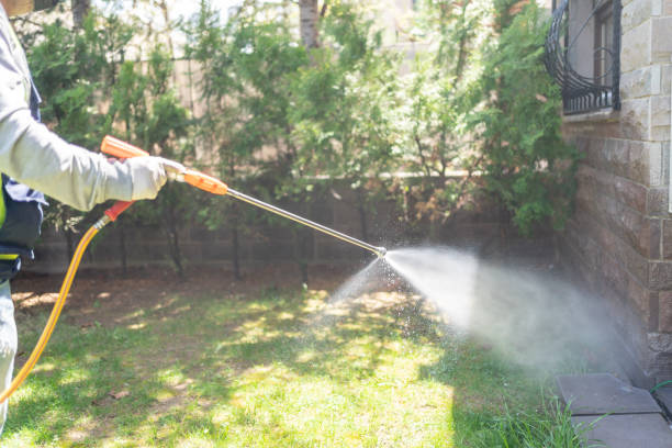 Best Bed Bug Extermination  in San Antonio, TX