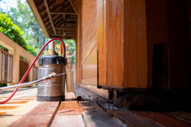Best Mosquito Control Services  in San Antonio, TX