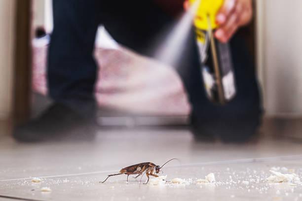 Best Cockroach Control Services  in San Antonio, TX