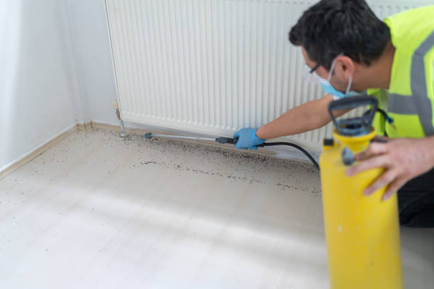 Best Pest Control for Businesses  in San Antonio, TX