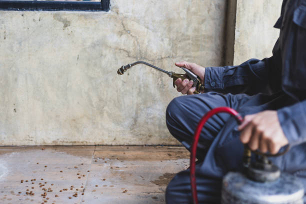 Best Pest Control Near Me in San Antonio, TX